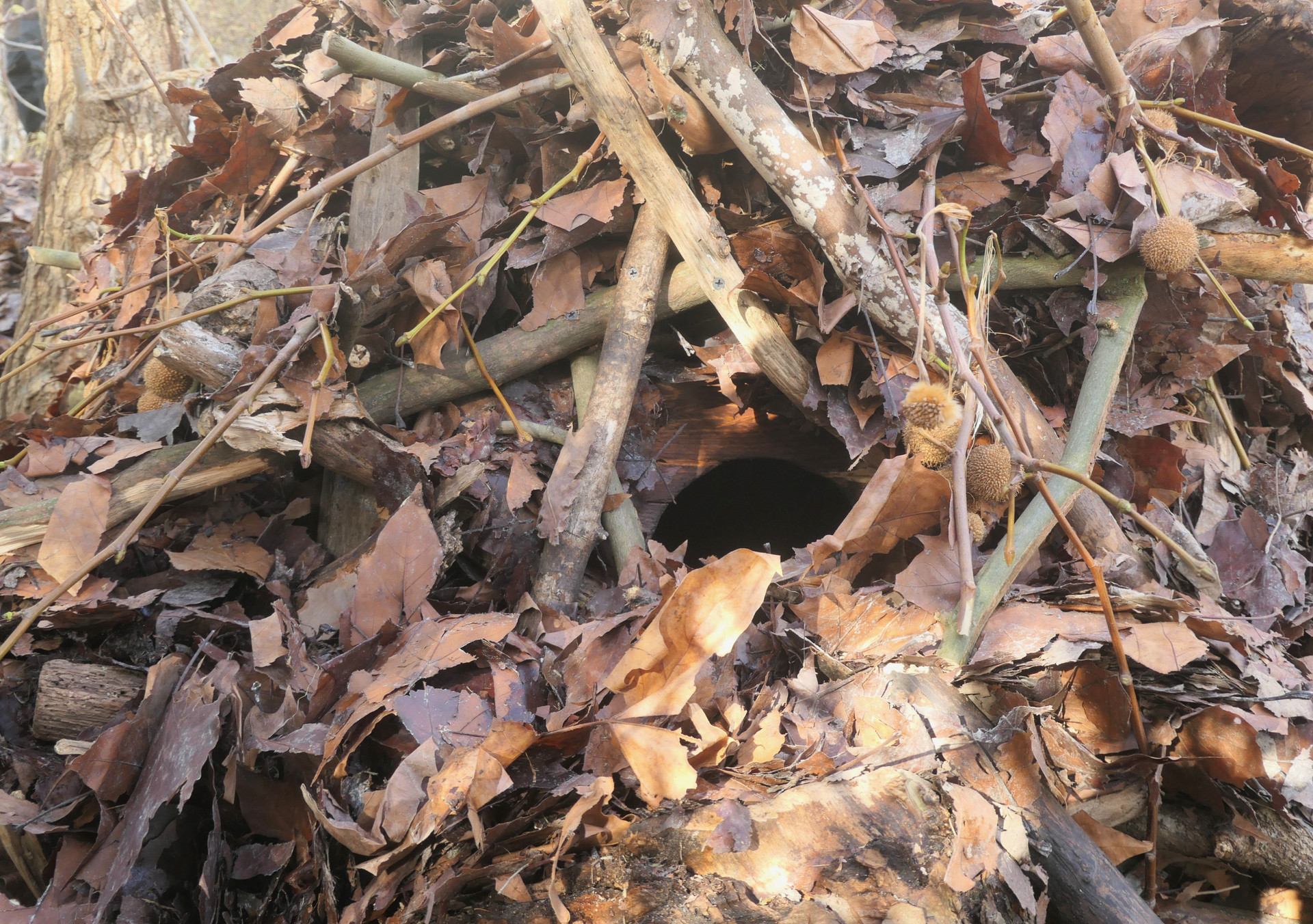 Vorderseite der Otterhöhle mit Eingang.
