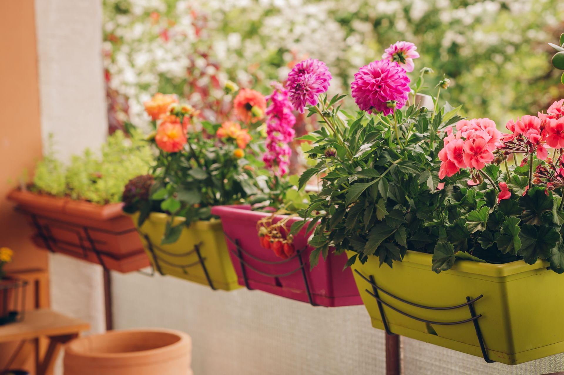 Blumen