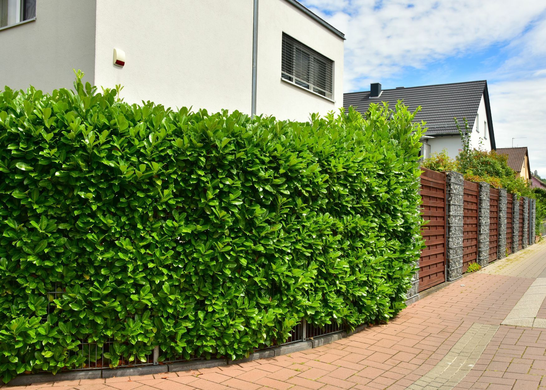 Eine Hecke am Rand einer Backsteinstraße neben einem Haus.