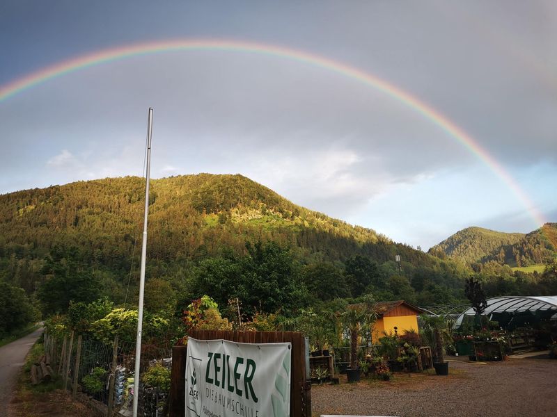 Foto Gärtnerei mit Regenbogen
