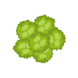 Icon Teaser