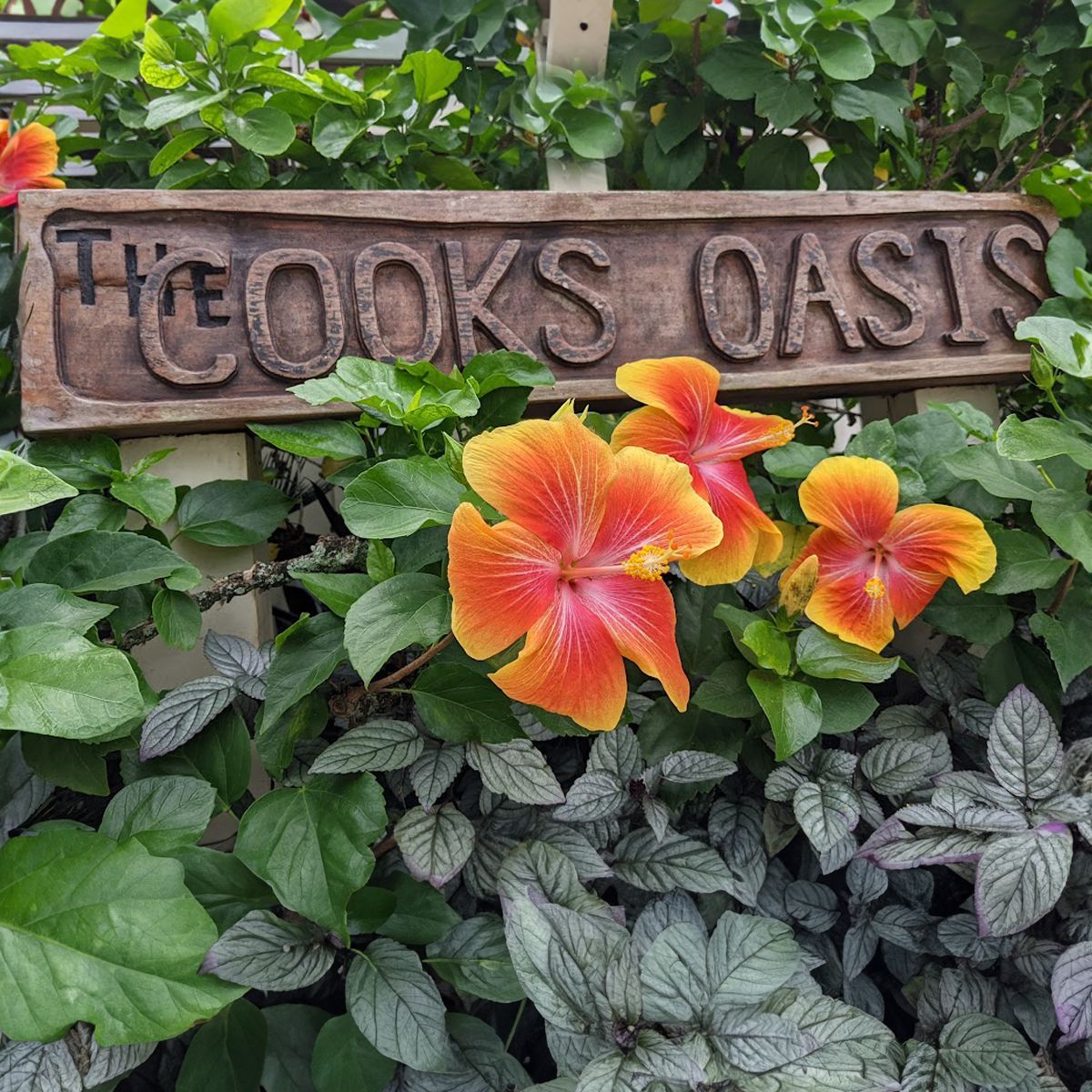 A wooden sign reads