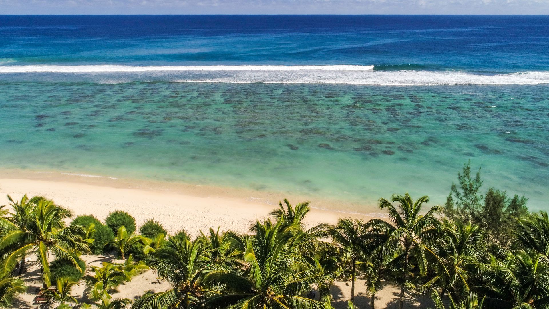 A tropical beach with white sand, palm trees in the foreground, and turquoise water leading to a coral reef and deep sea.