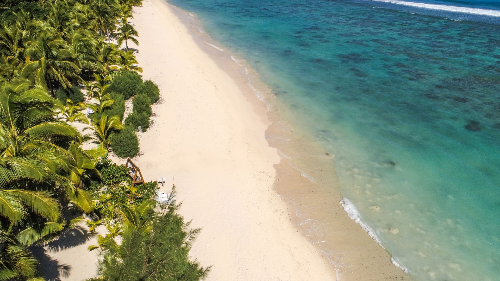 An aerial view of a pristine white sand beach lined with lush green palm trees meeting clear turquoise ocean waters.
