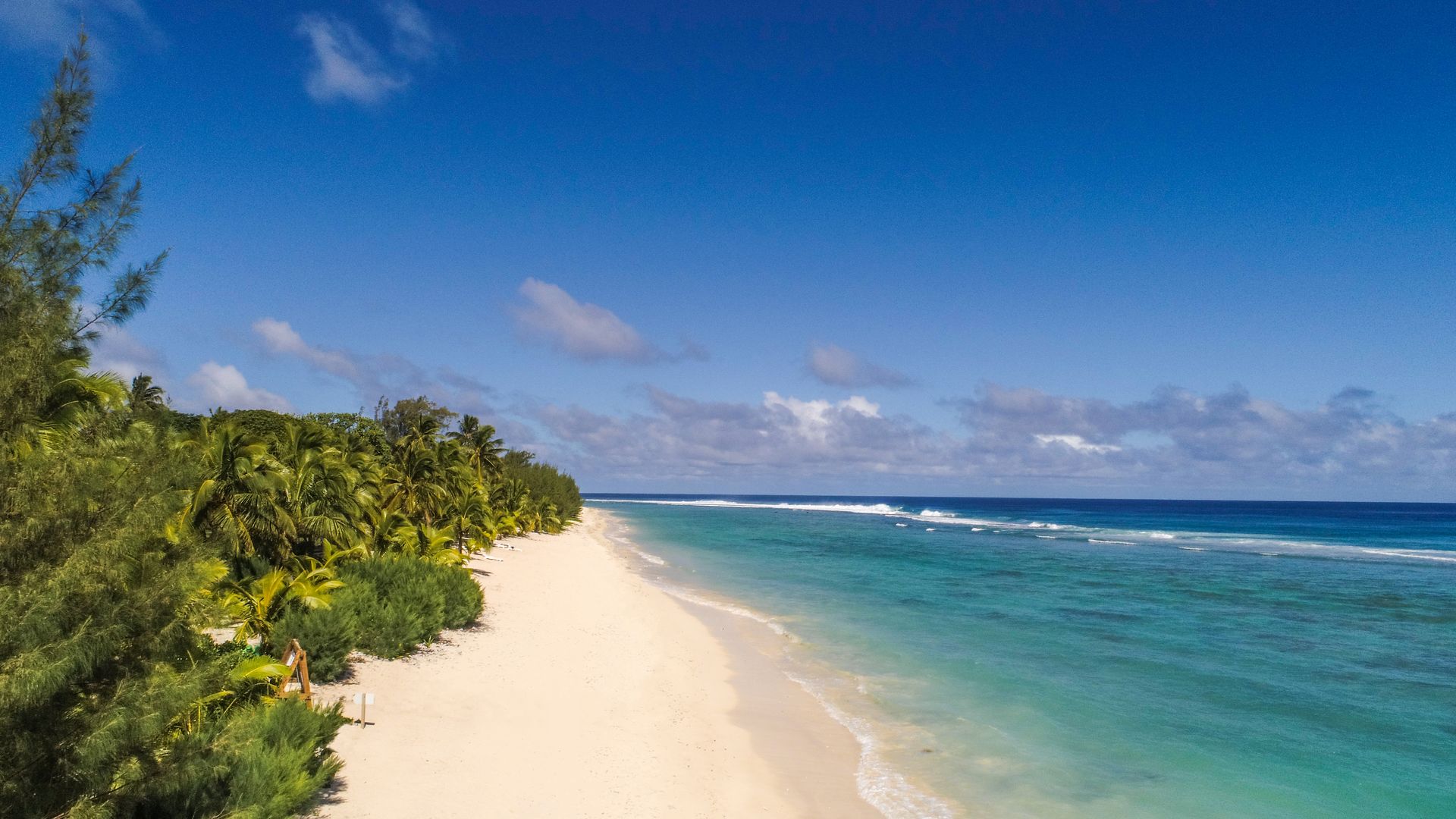 A sandy beach stretches along a turquoise ocean lined with dense tropical greenery under a clear blue sky.