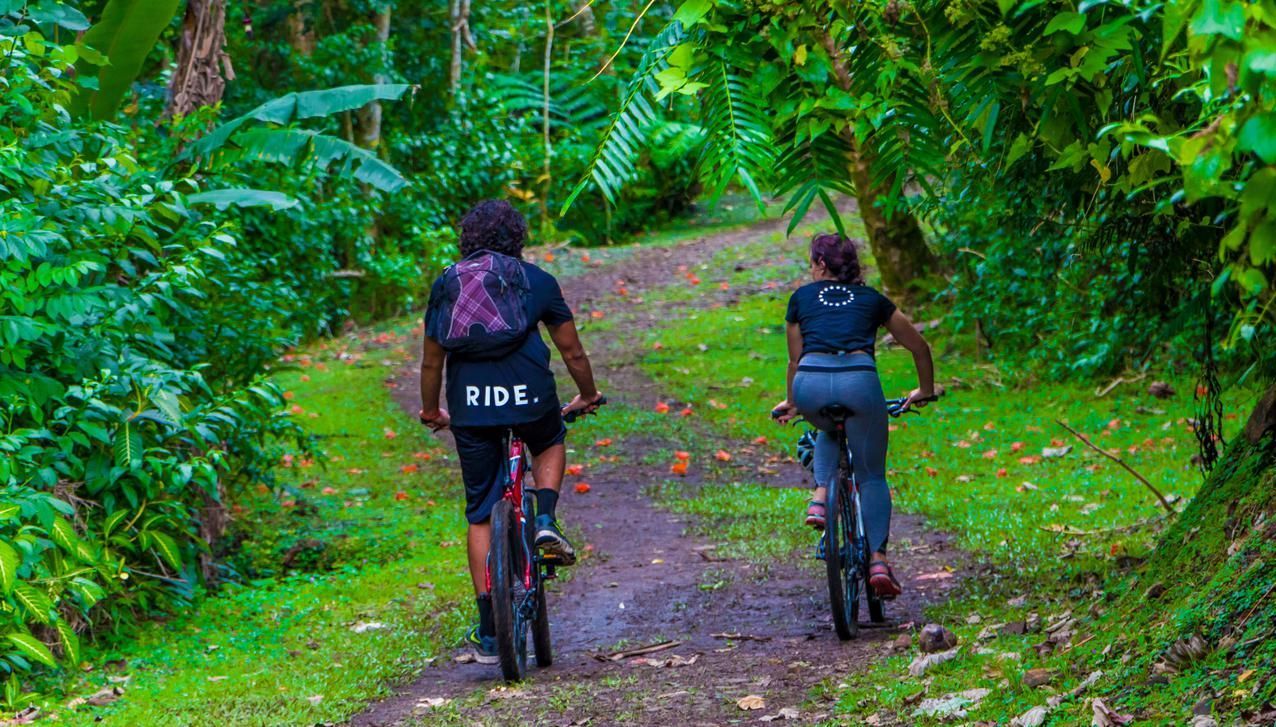 Two people mountain biking along a dirt path through a lush, green tropical forest.
