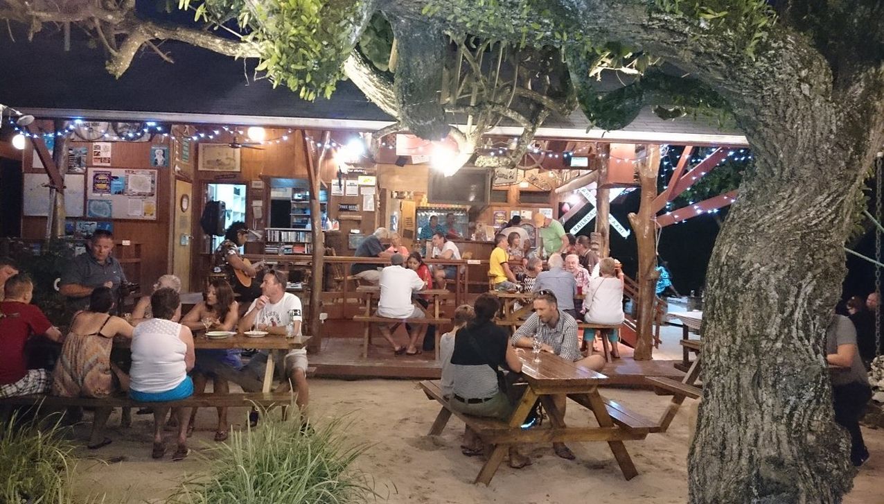 Outdoor evening scene with people dining at wooden picnic tables under a large tree with decorative string lights.