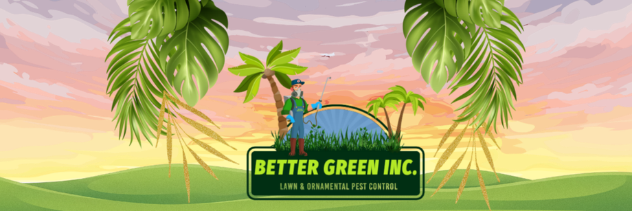 Better Green Inc. logo with green leaves, sunlit sky, and tropical palm trees
