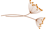 Um desenho de uma flor com muitas flores nela