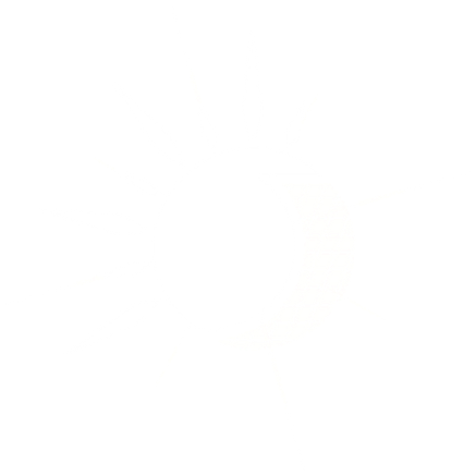 SunFlare Home Services
