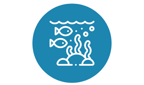 A line drawing of fish and algae in the ocean in a blue circle.