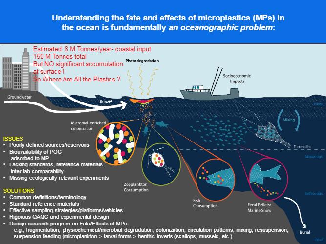 Understanding the fate and effects of microplastics in the ocean is fundamentally an oceanographic problem