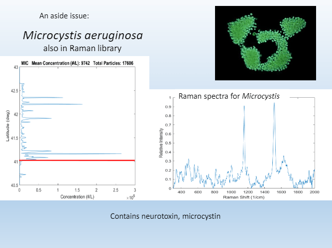 A graph of microcystis aeruginosa also in roman library