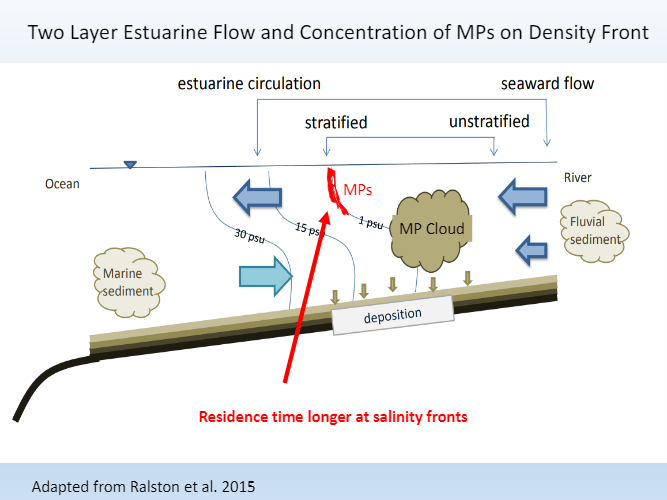 A diagram of two layer estuarine flow and concentration of mps on density front