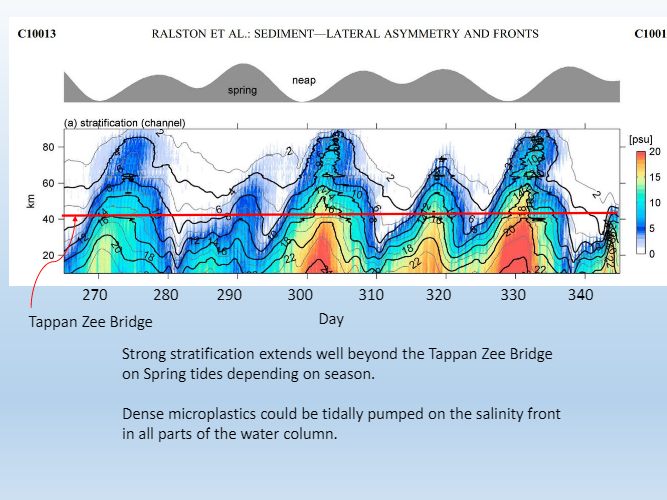 A graph showing the amount of dense microplastics in all parts of the water column