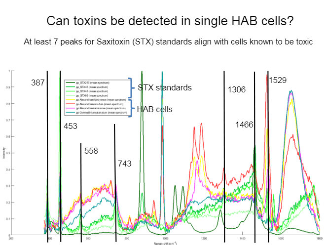 A graph that says can toxins be detected in single hab cells