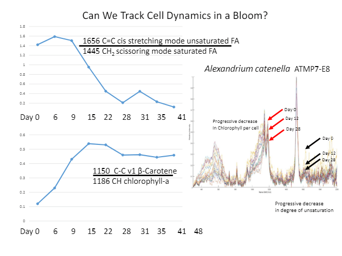 A graph that says `` can we track cell dynamics in a bloom ''