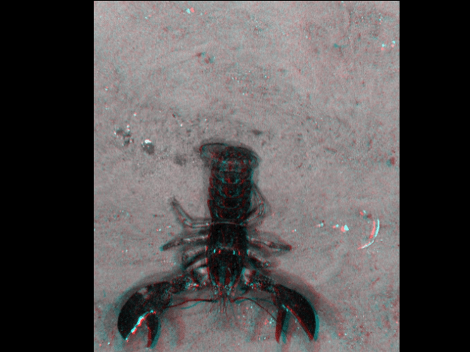 A 3d image of a lobster on the beach.