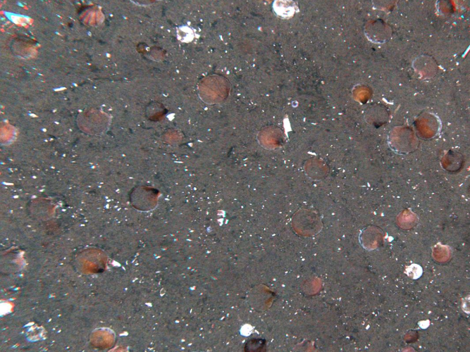 A close up of a gray surface with holes in it.