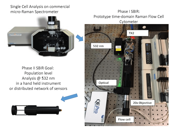 A picture of a single cell analysis on commercial micro-raman spectrometer