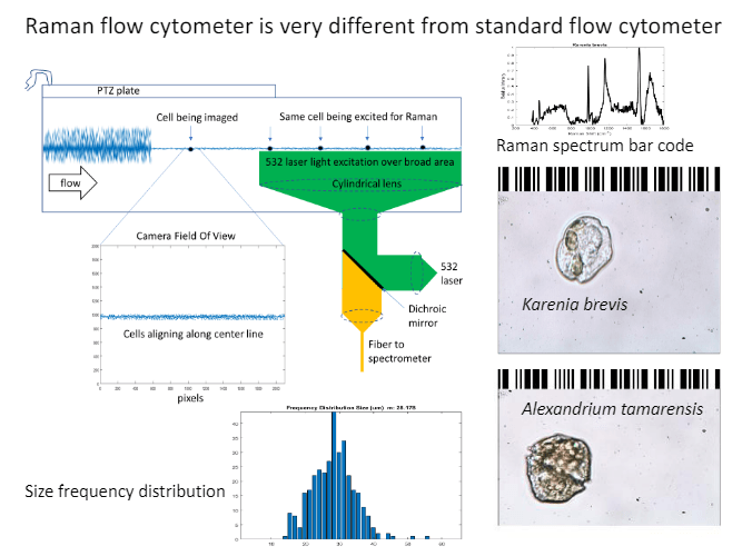A ram flow cytometer is very different from standard flow cytometer