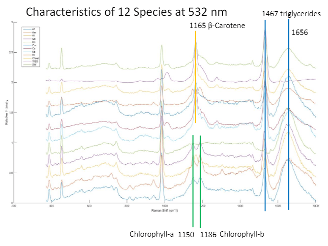 A graph showing the characteristics of 12 species at 532 nm