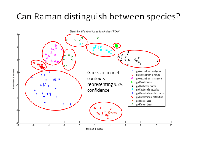 A graph that says can raman distinguish between species