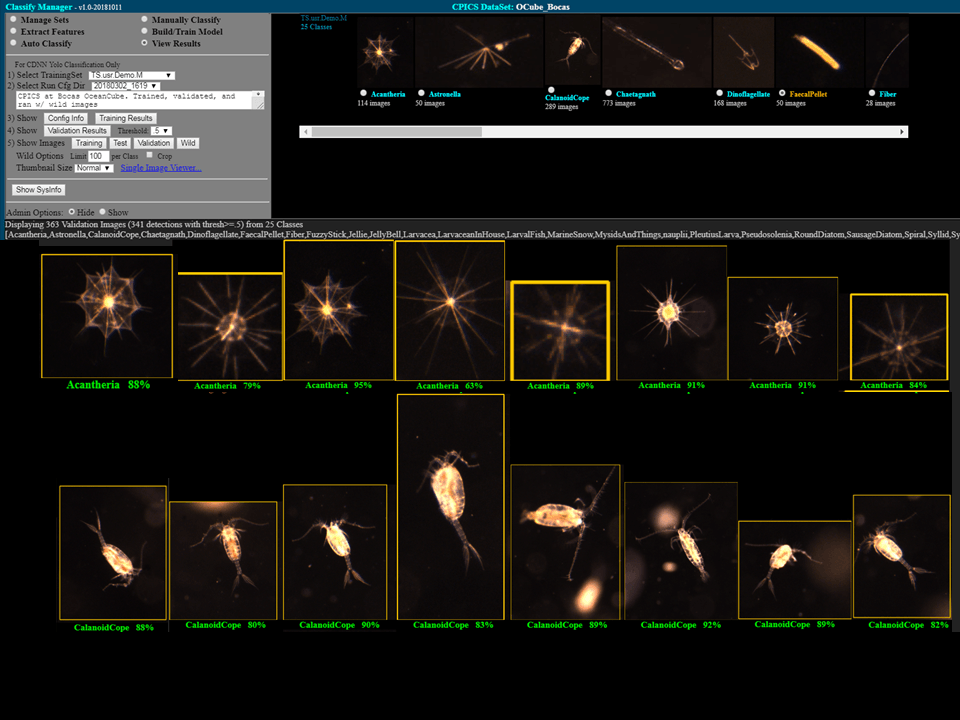 A computer screen shows images of various types of bacteria