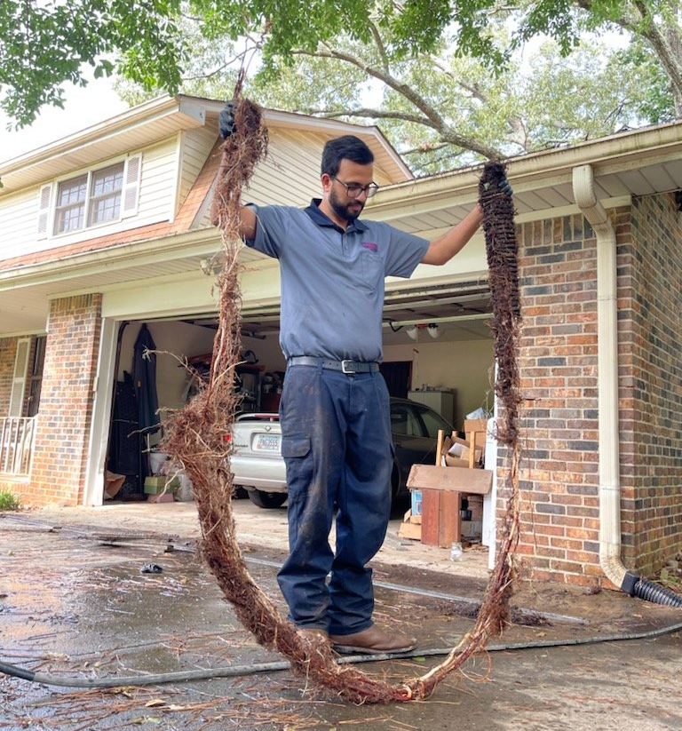 Tree Roots in Sewer Lines Tree Roots in Sewer Lines