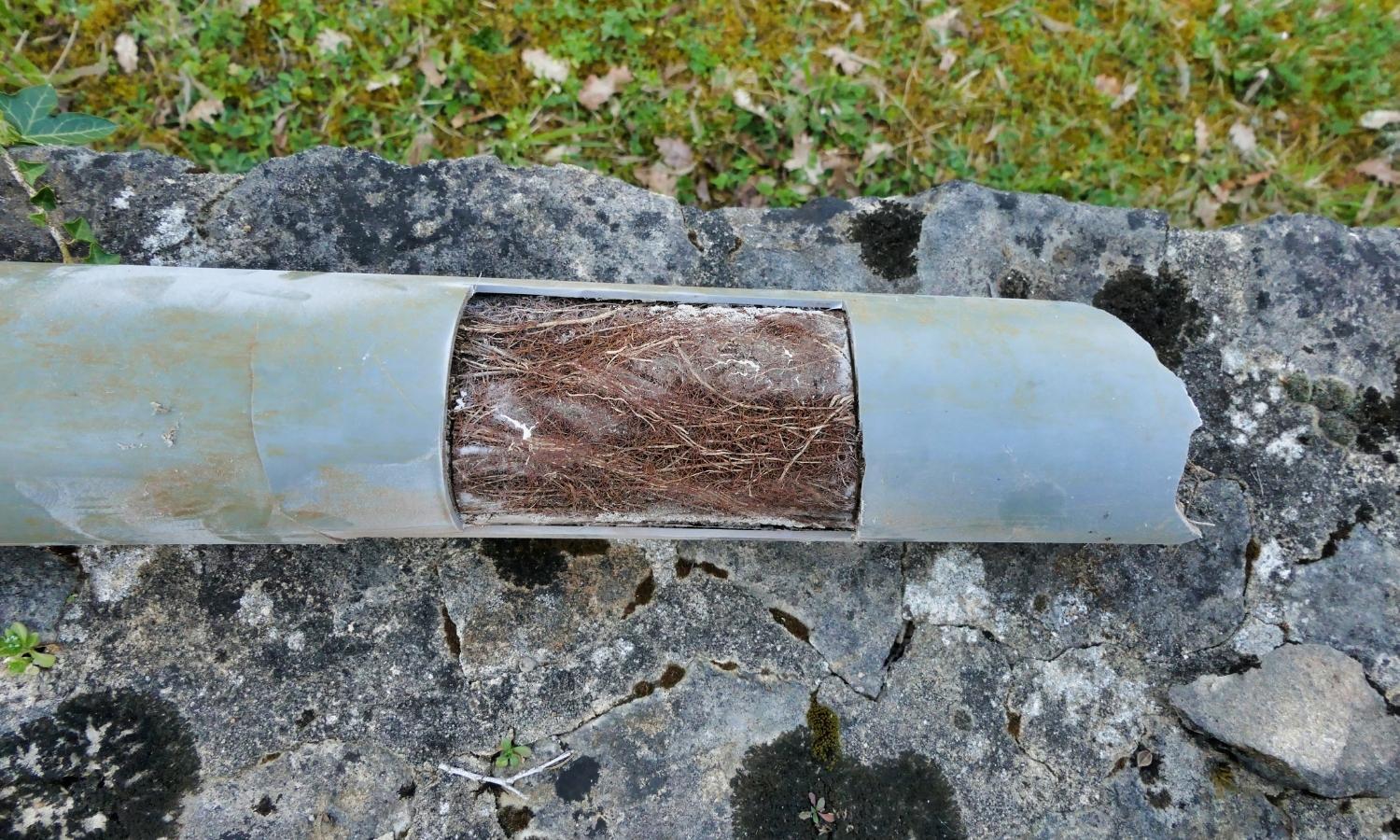 Sewer Camera Inspections Sewer Camera Inspections