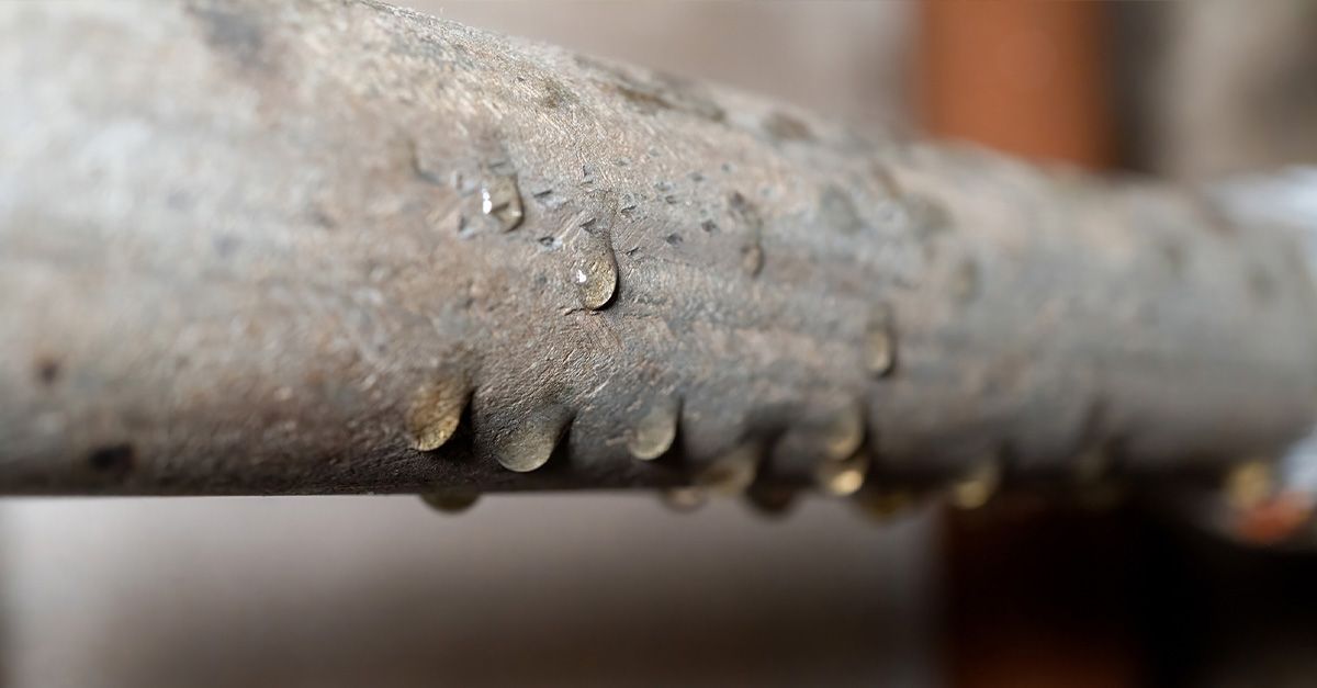 A metal pipe dripping condensation.