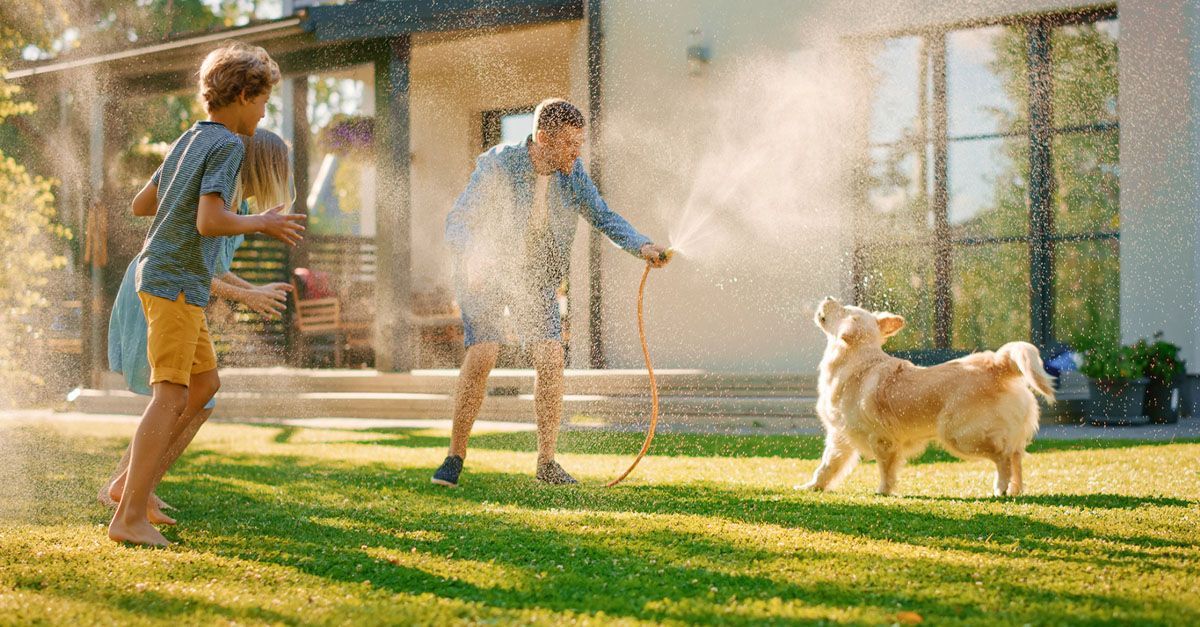 A family playing with their dog in their backyard with a water hose.