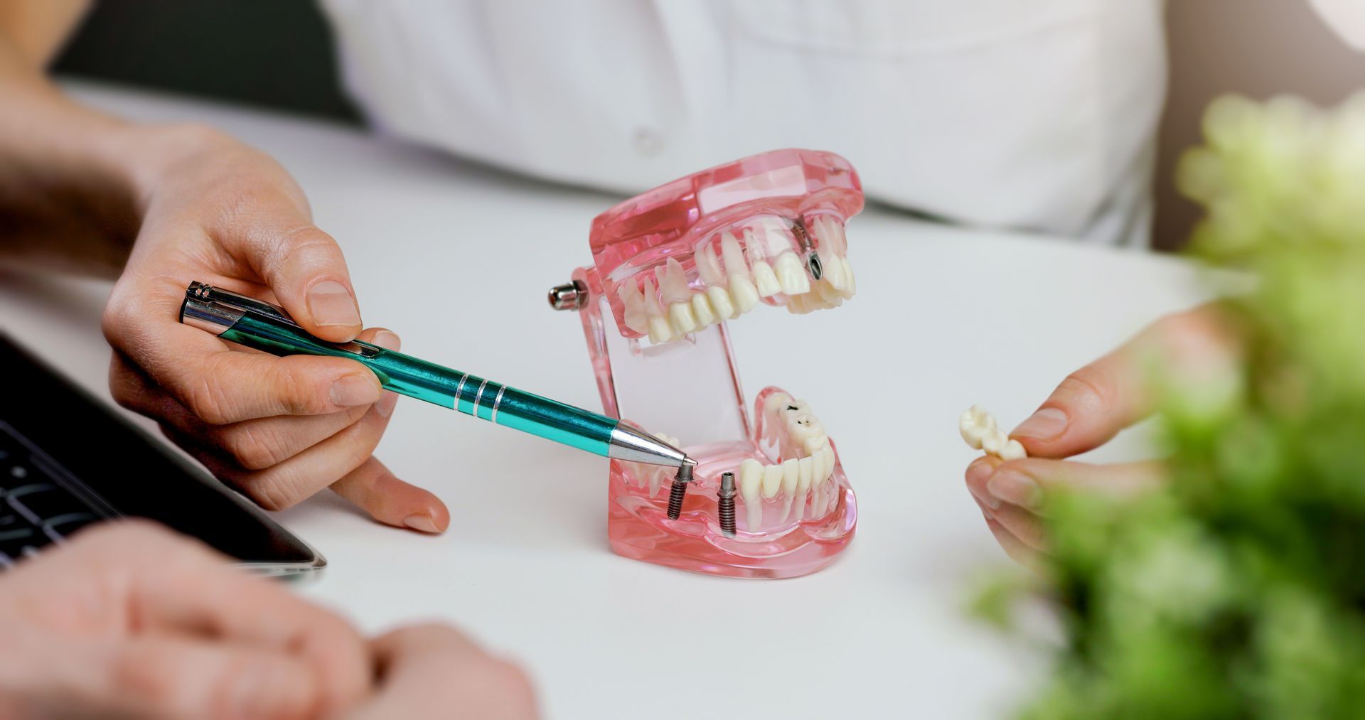 Hands demonstrating a pink dental model with a toothbrush on a white table