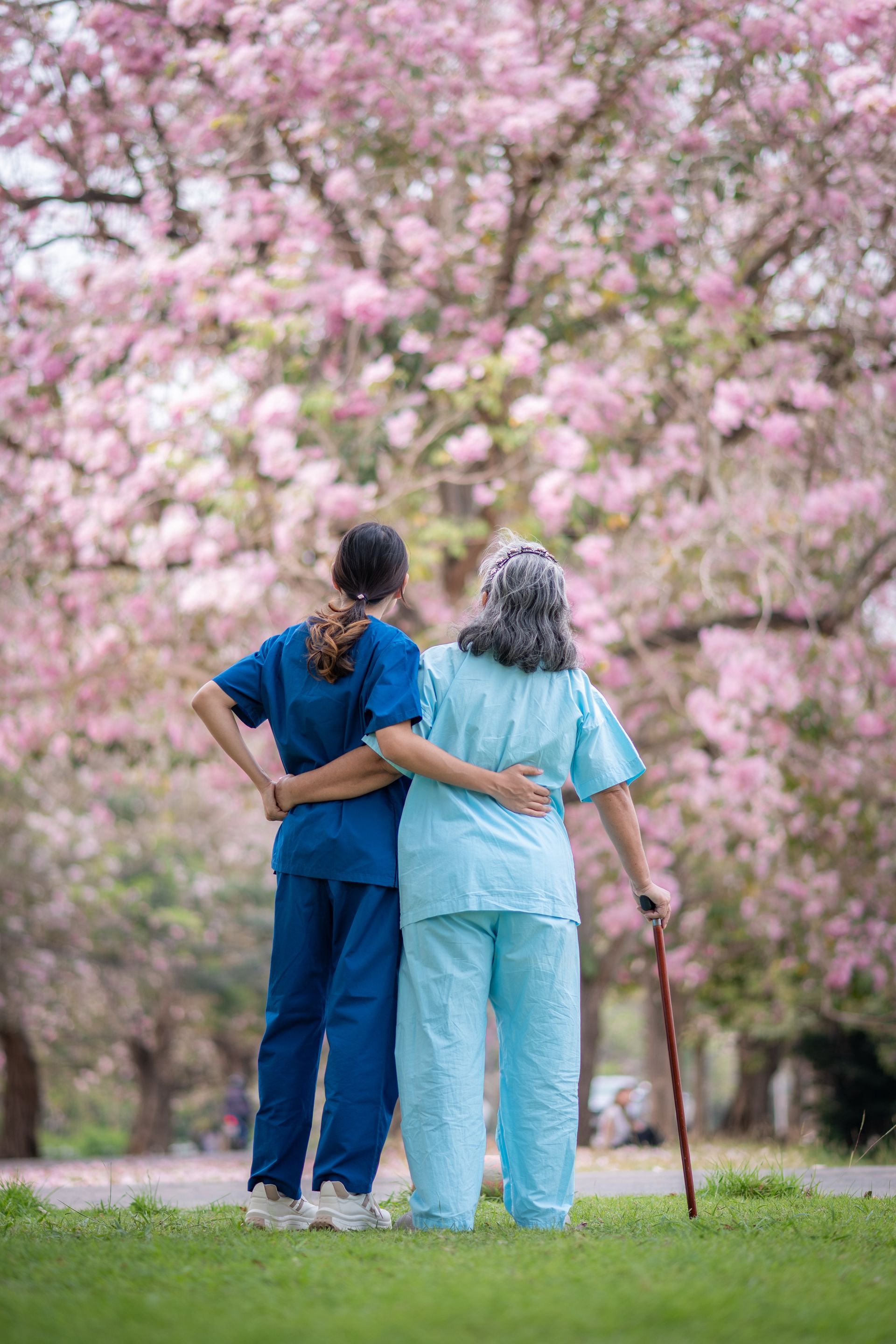 Two people standing with arms around each other in a pink-blossomed park, seen from behind
