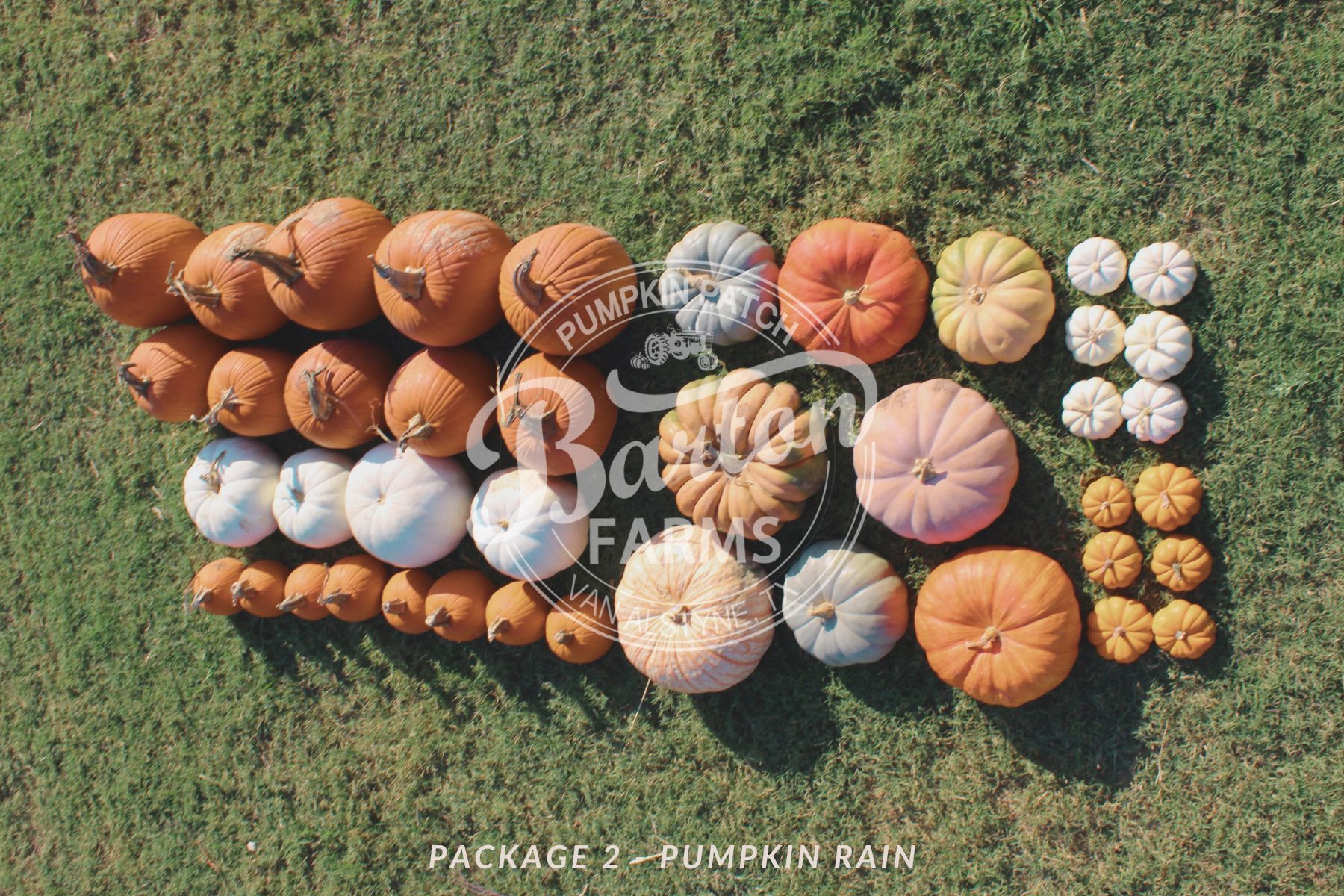 Package 2 - Pumpkin Rain