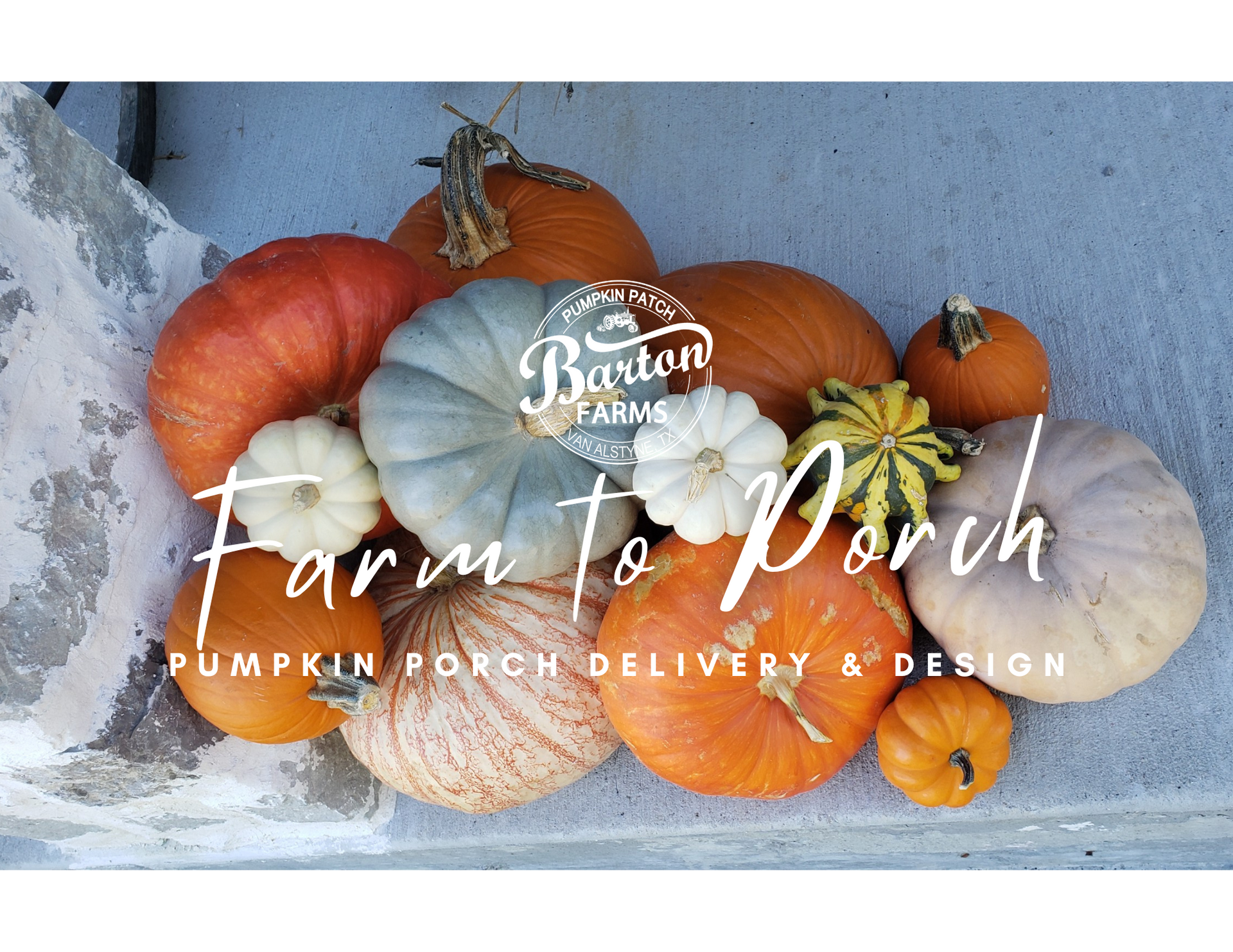 Pumpkin Mix Package