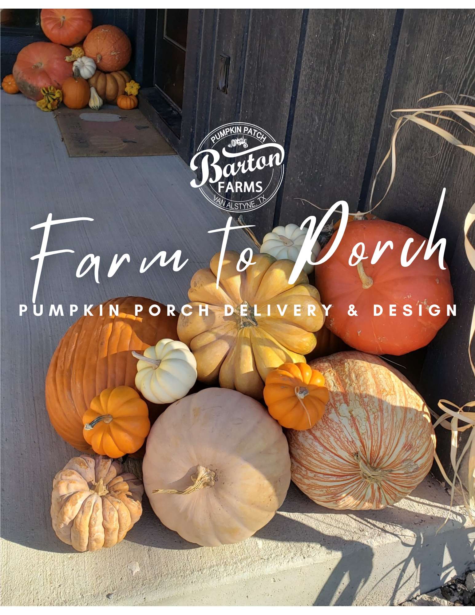 Pumpkin Sprout Package