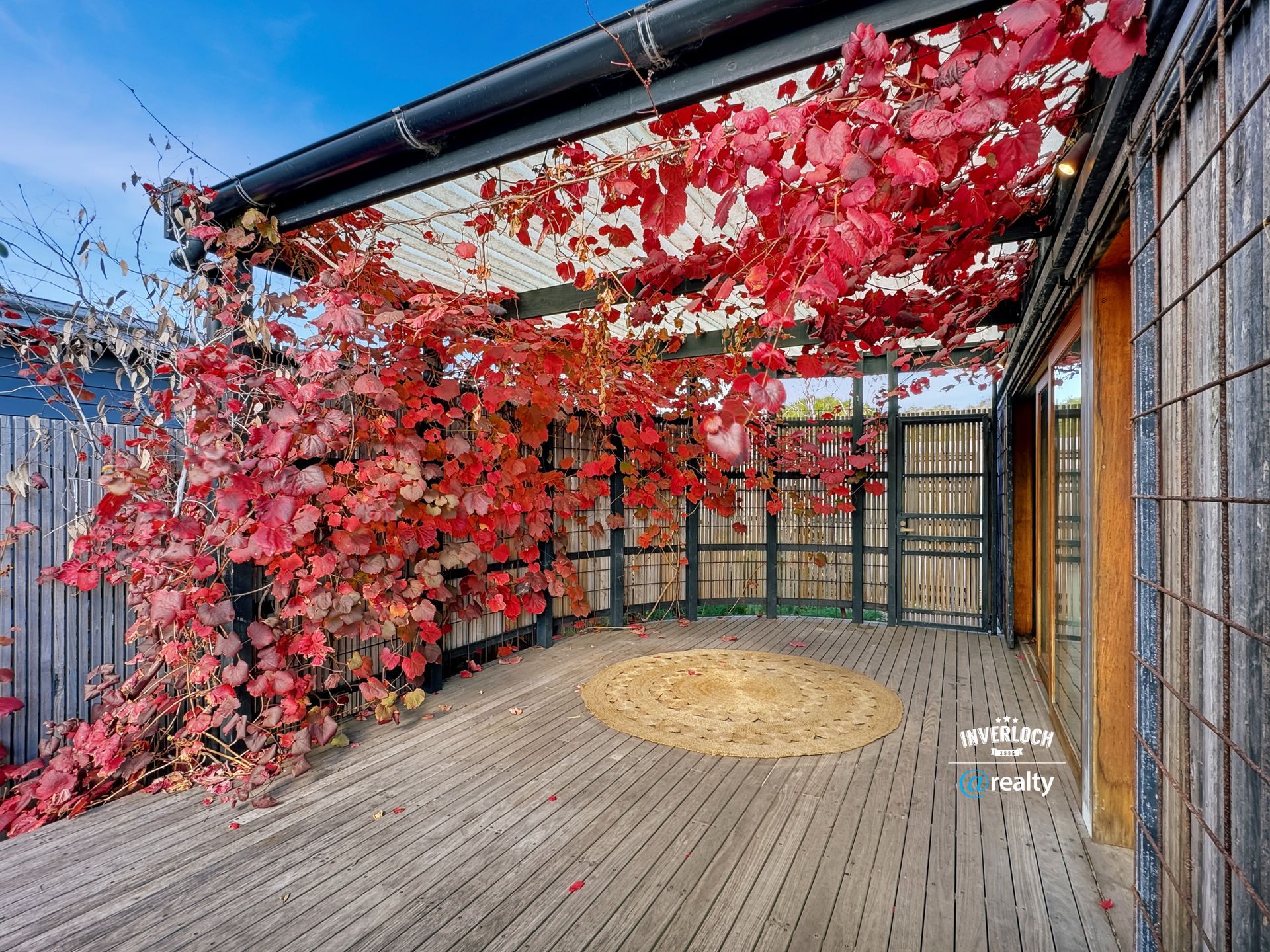 A wooden deck with red leaves growing on it.