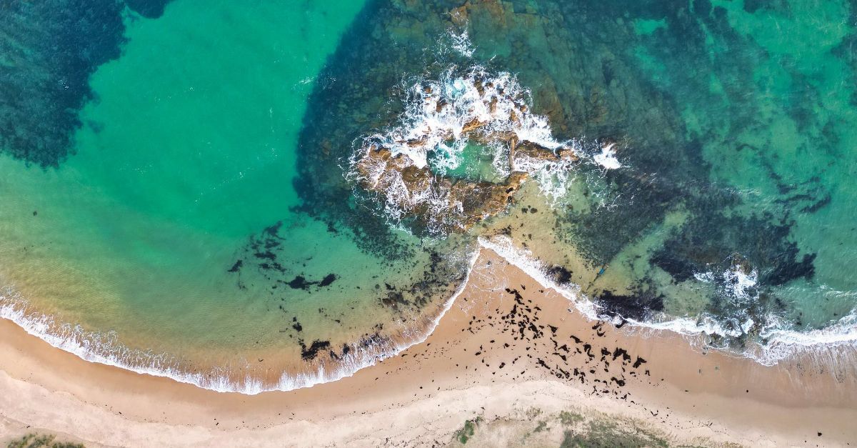 An aerial view of a beach and a body of water.