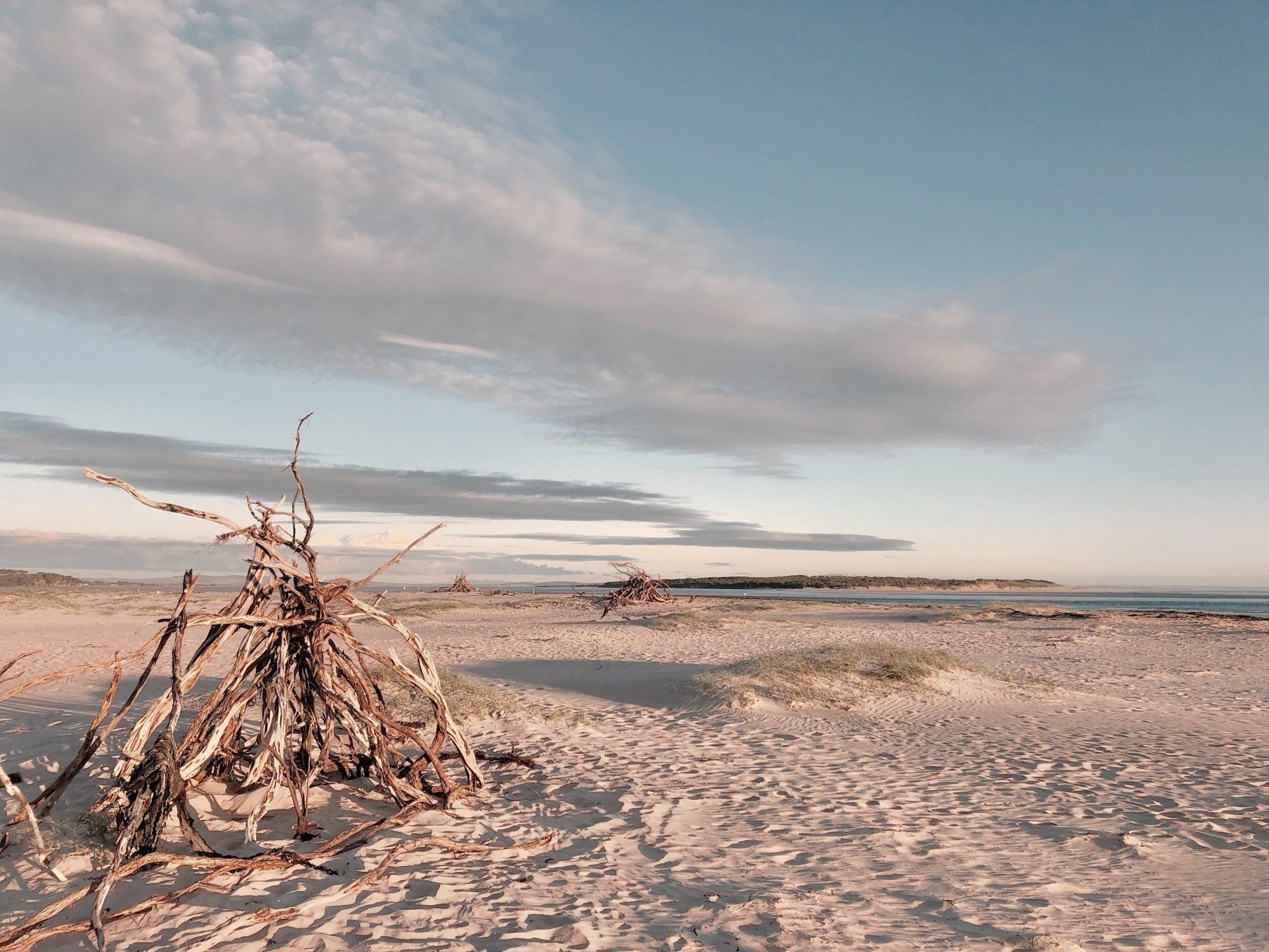 A small hut made out of branches on a sandy beach.