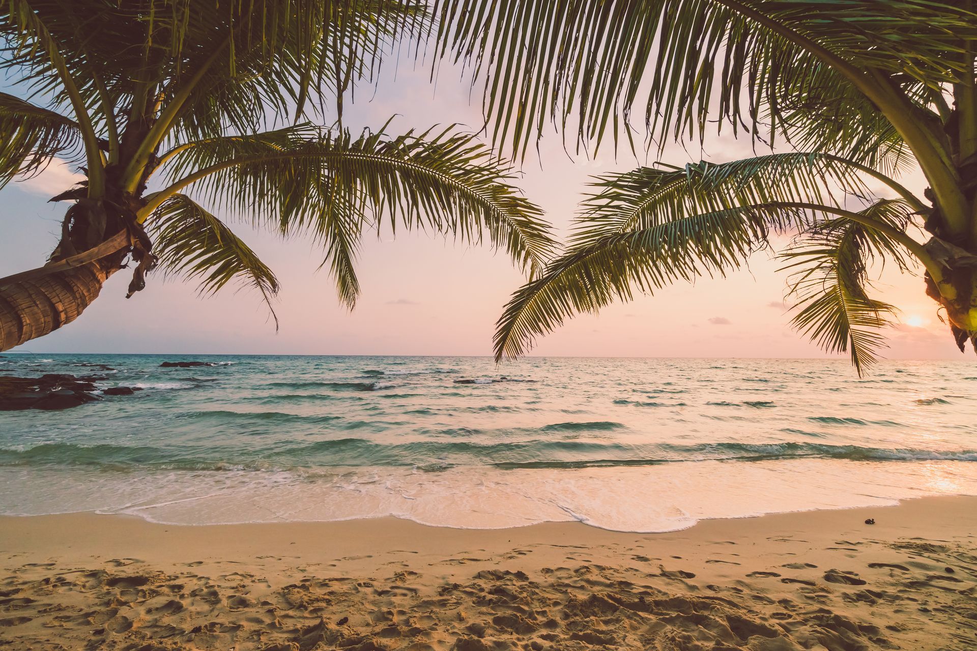 A beach with palm trees and a sunset in the background