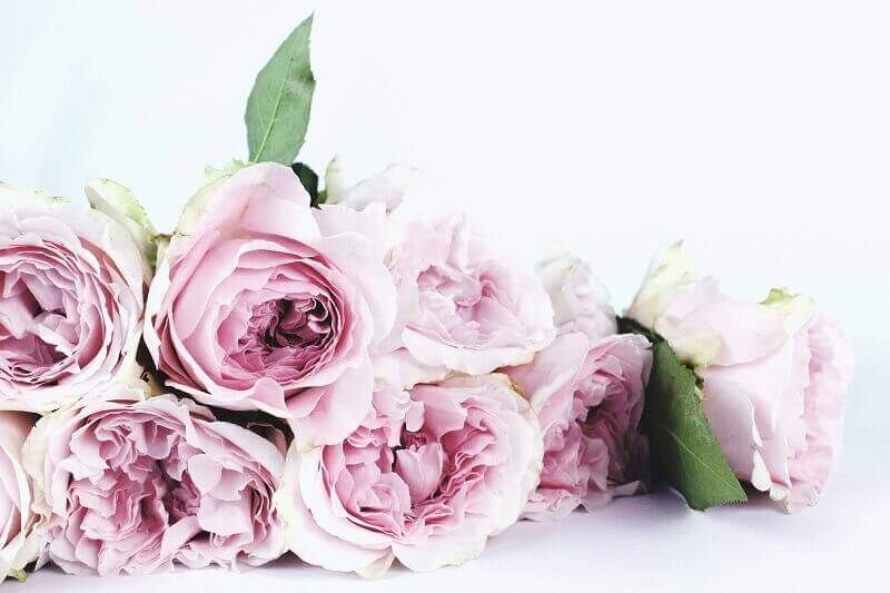 cremation services North Babylon, NY