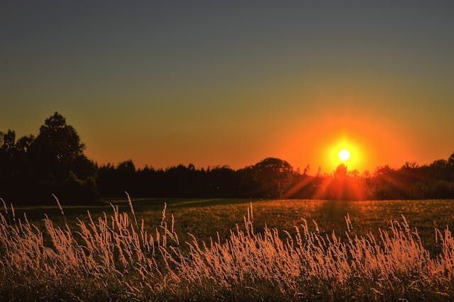cremation services in Deer Park, NY