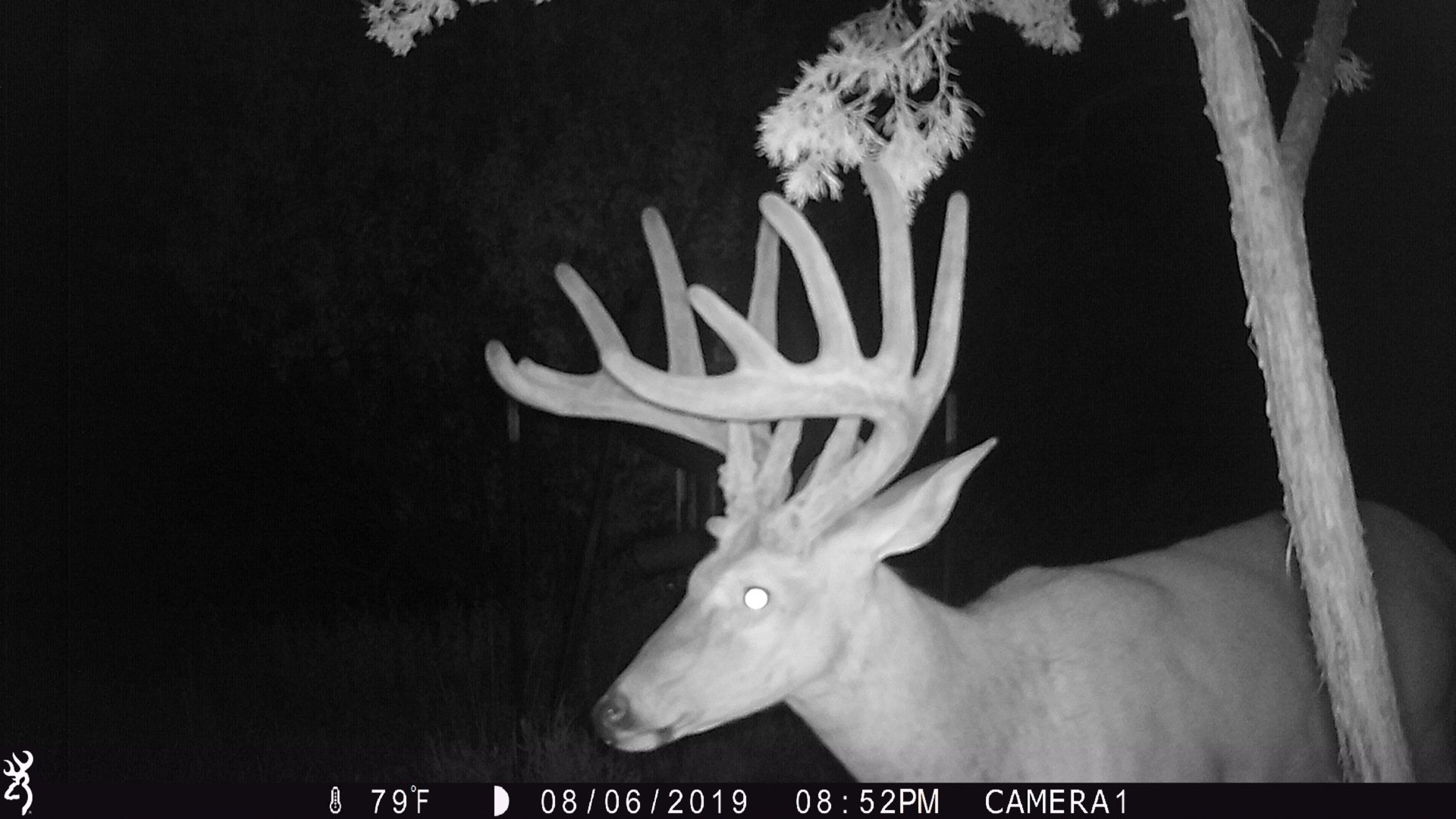 Nebraska Whitetail & Mule Deer Hunts Guide & Outfitter