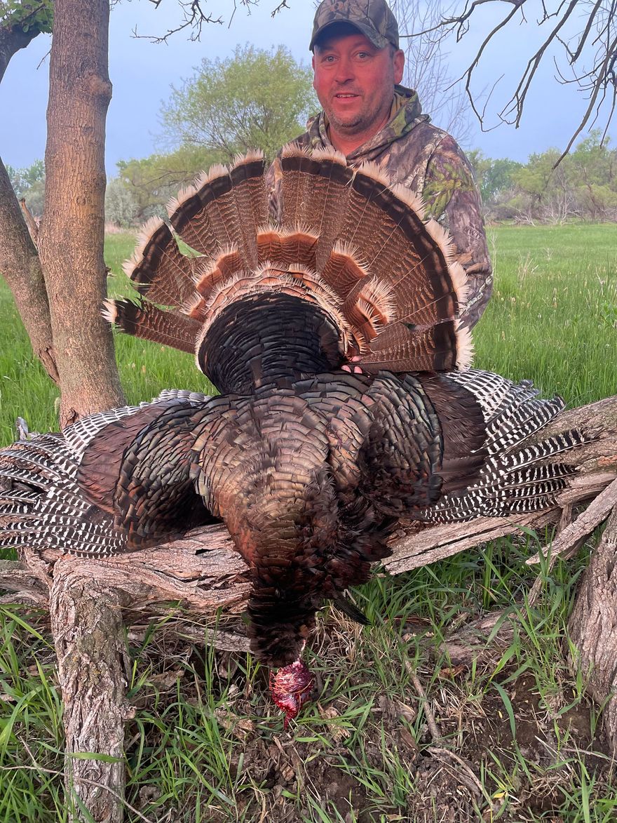 turkey hunts NE