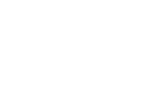 Blank white image with a narrow black strip along the bottom edge.