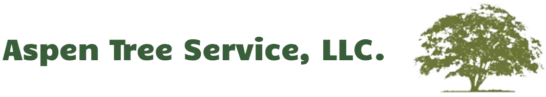 Tree Service in Portland, OR | Aspen Tree Service Tree Service in Portland, OR | Aspen Tree Service