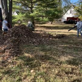 People raking leaves in a yard with large piles and trees in the background