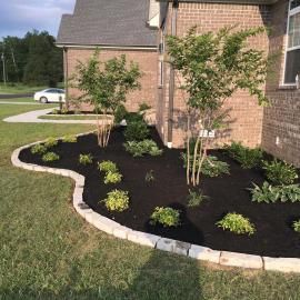 Landscaped flower bed with black mulch and small shrubs beside a brick house