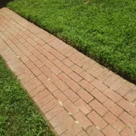 Brick walkway bordered by green grass